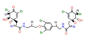 11,17-Dideoxyagelorin A